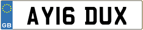 Truck License Plate